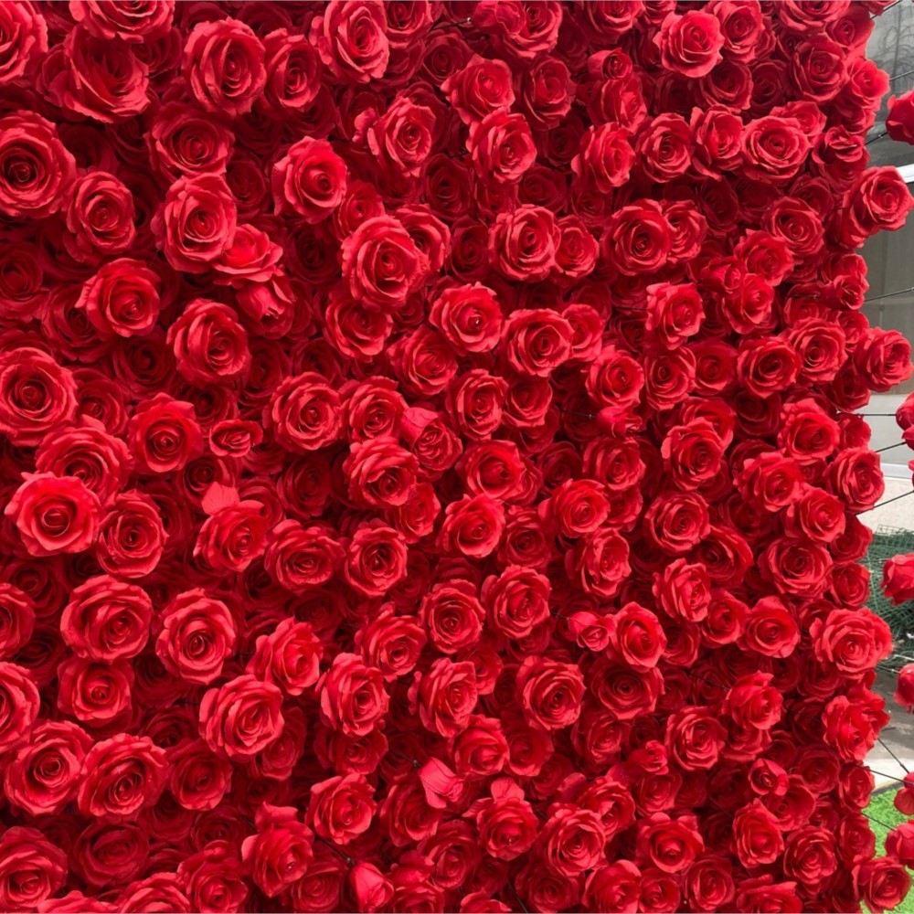 Uflower الأحمر روز 5D القماش ز - مراجعة Home Decor Event وسعره