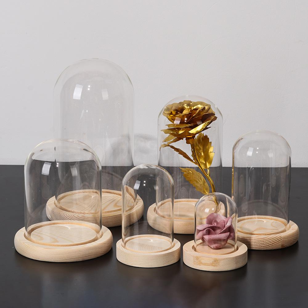 مزهرية زجاجية للديكور المنزلي  - مراجعة Home Decor Glass وسعره